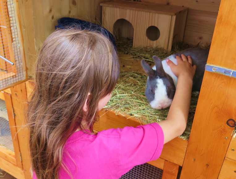 den v králičím kožíšku